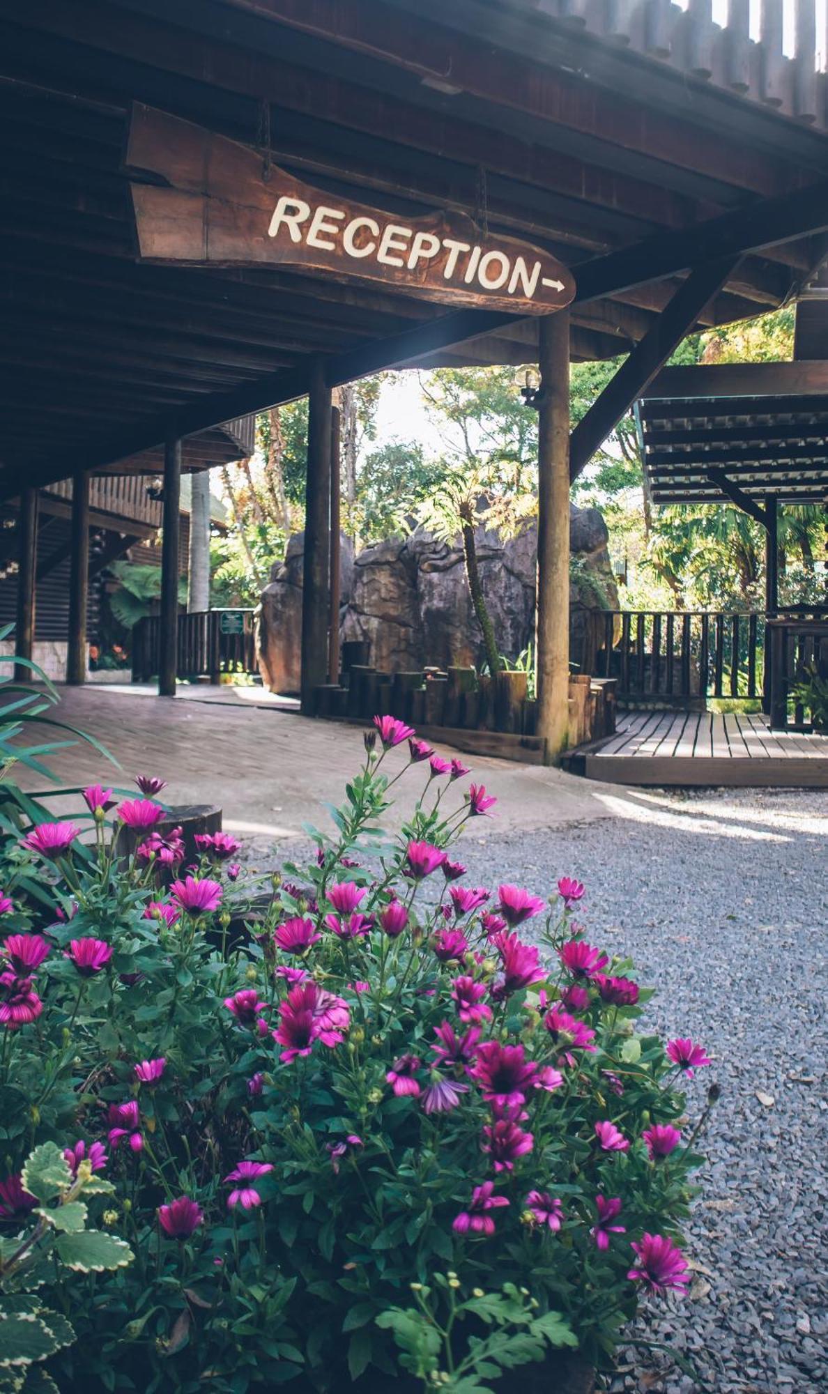 Tsitsikamma Lodge & Spa Stormsrivier Exterior photo
